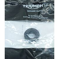 Triumph Bonneville, Speed Triple, Tiger Sport Gear shaft Oil Seal