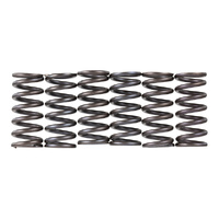PREMIER HD Clutch Springs